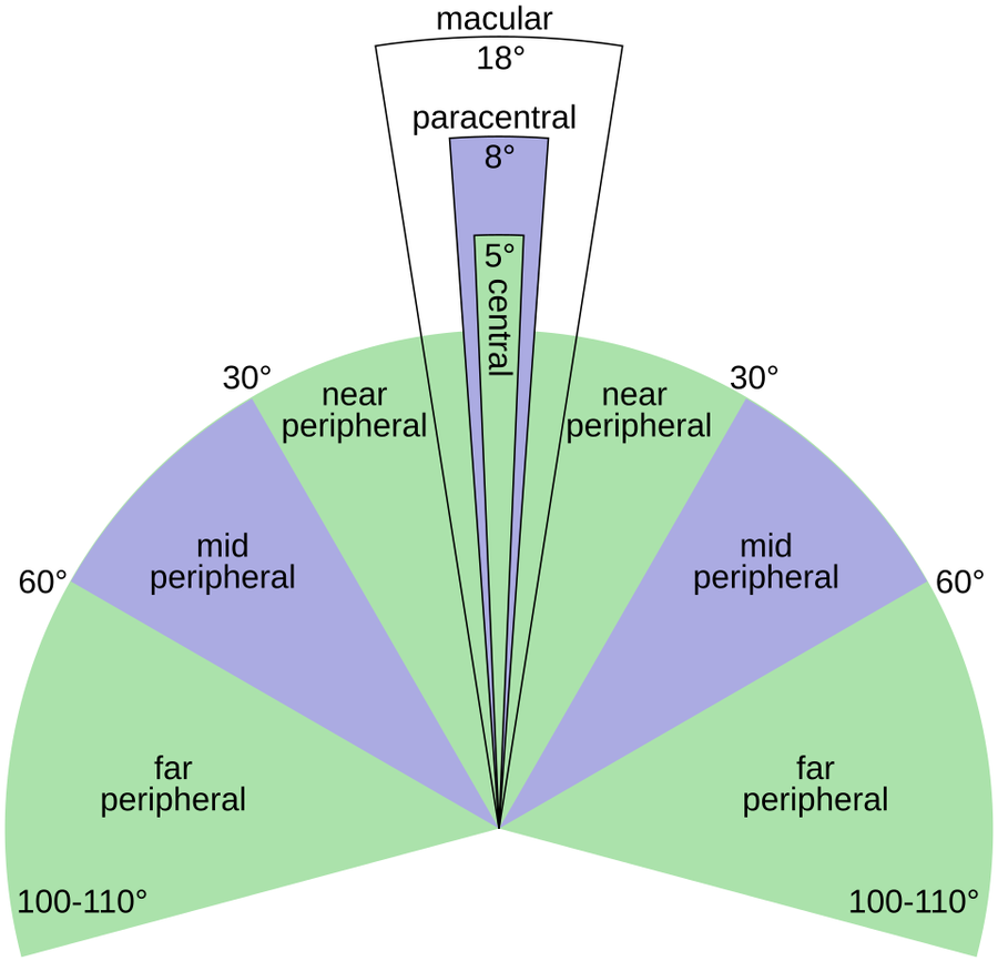 Diagram of the human visual field as a fan of angles: a central zone of a few degrees, surrounded by near, mid, and far peripheral zones reaching about 100 to 110 degrees on each side