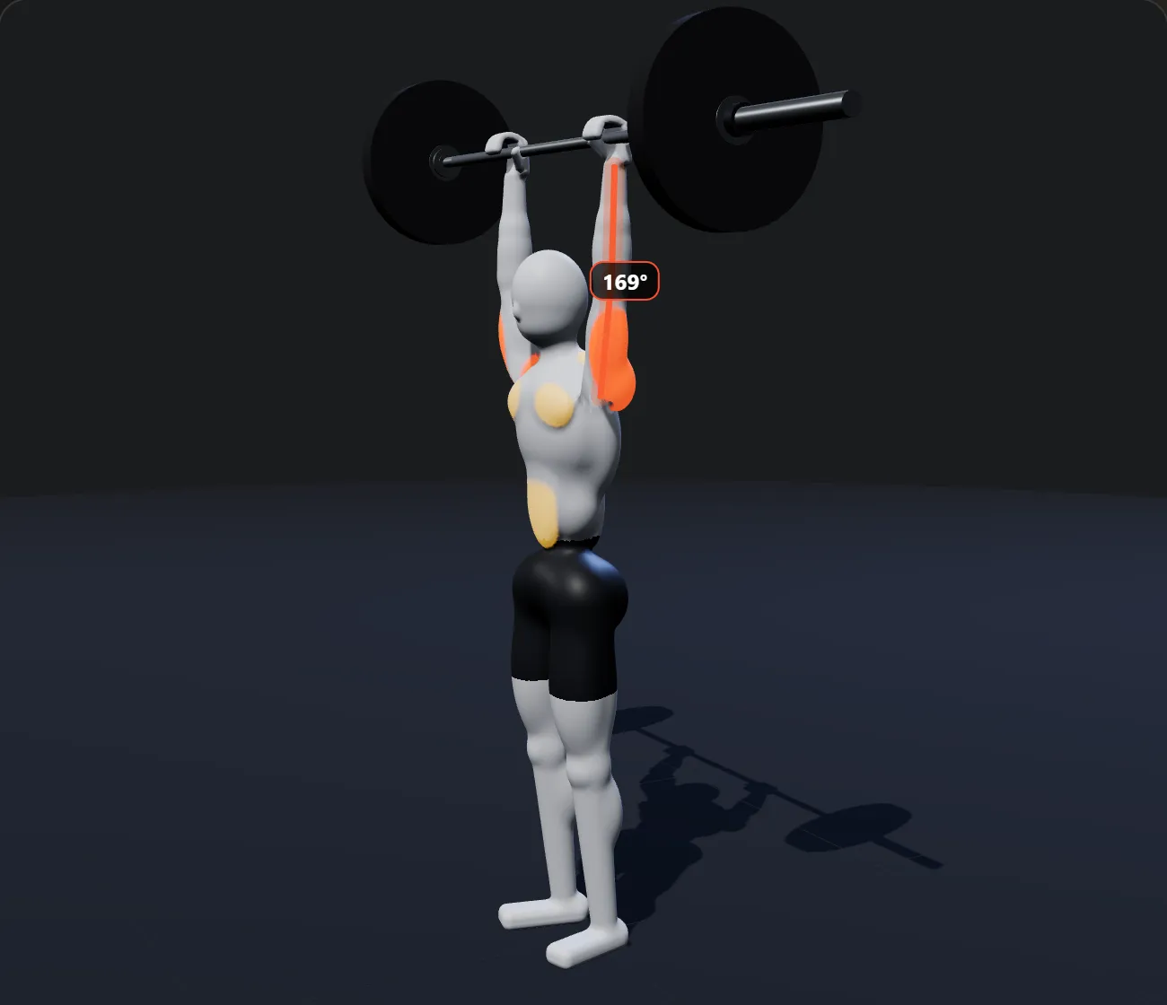 Barbell Overhead Press shown on a 3D figure, with the working muscles highlighted