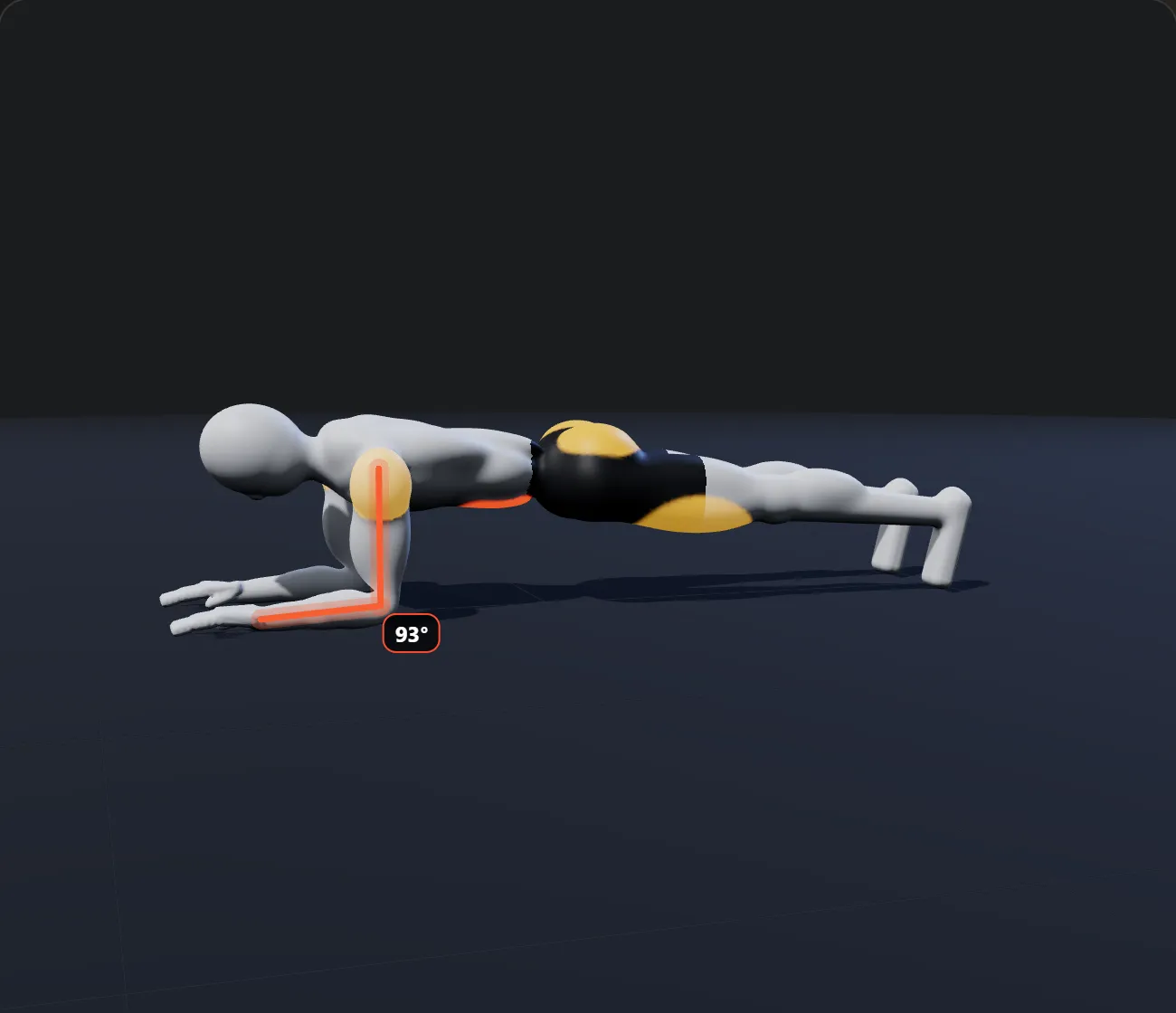 Forearm Plank shown on a 3D figure, with the working muscles highlighted
