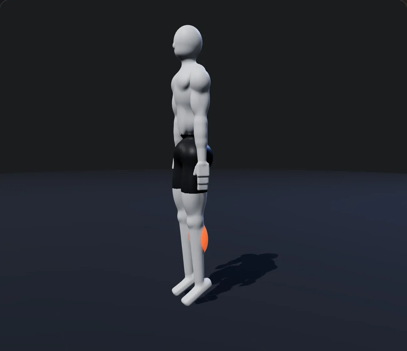 Standing Calf Raise shown on a 3D figure, with the working muscles highlighted